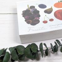 【cozyca products】 ブロックメモ / 浅野みどり『Fruits』