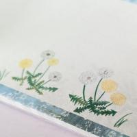 【cozyca products】 一筆箋  / 大森木綿子『Michikusa Bana』