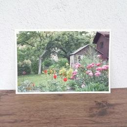 【チャルカ】ポストカード・バラの庭