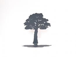 シルエットオブジェ 樹木