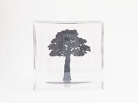 シルエットオブジェ 樹木