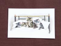 フランス製ポストカード/ネコとベッド